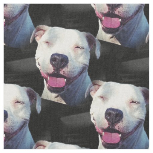Smile Fabric