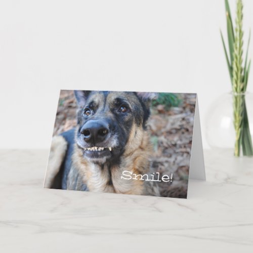 Smile German Shepherd Its Your Birthday Card