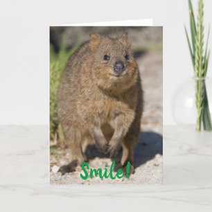 Smile / Get Well Soon, Happy Quokka, Australia Card