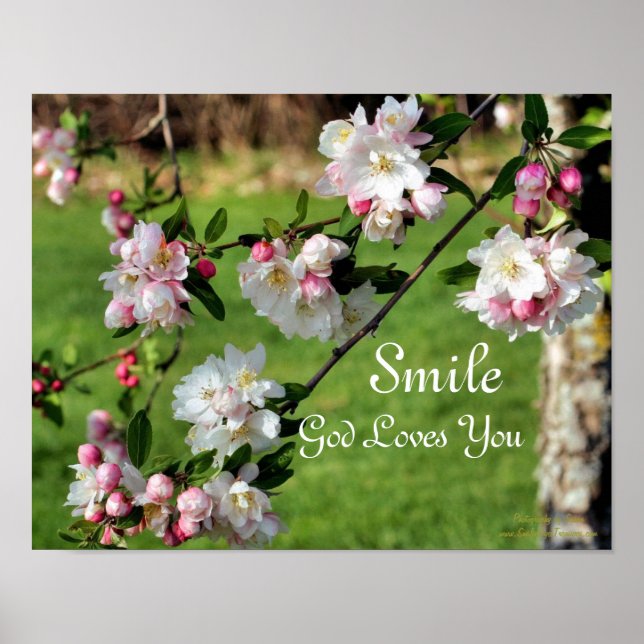 Smile God Loves You Blossoms Inspirational Poster (Front)
