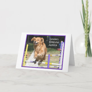 'Smile' Golden Retriever Agility Birthday Card