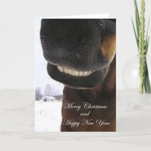 Smile Holiday Card