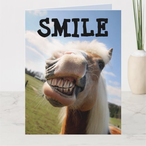 SMILE HORSE FUNNY BIRTHDAY BIG CARD