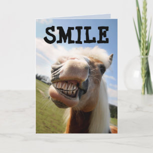SMILE HORSE FUNNY BIRTHDAY CARDS