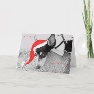 Smile, it's Christmas, Card with Rat Terrier