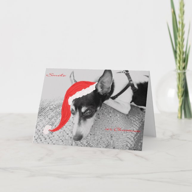 Smile, it's Christmas, Card with Rat Terrier (Front)