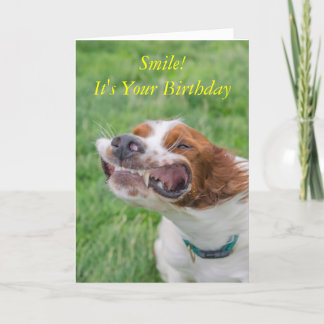 Smile It's Your Birthday Card