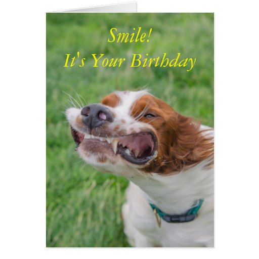 Smile It's Your Birthday Card | Zazzle