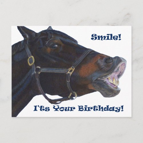 Smile  Its Your Birthday Horse Postcard