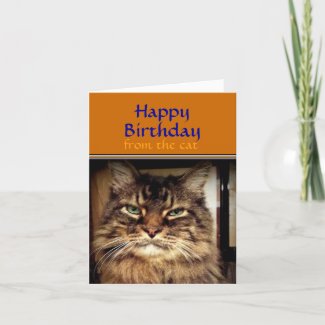 Smile its your Birthday Maine Coon Cat  Card