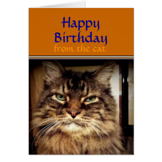 Grumpy Cat Birthday Cards | Zazzle