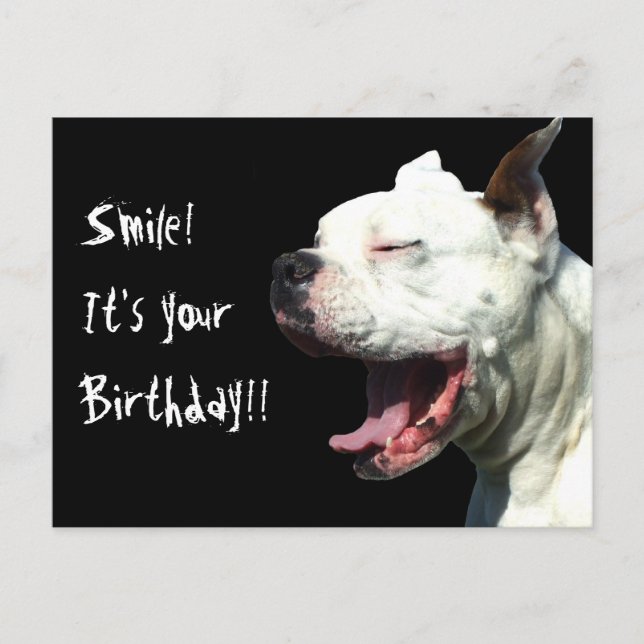 Smile it's your birthday White Boxer dog postcard (Front)