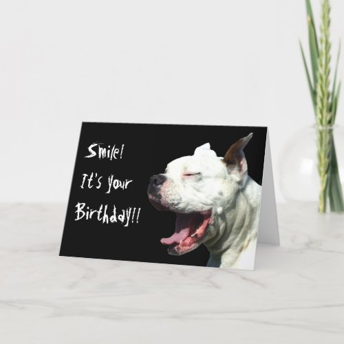 Smile its your birthday White Boxer greeting card