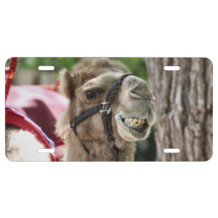 Smile License Plate
