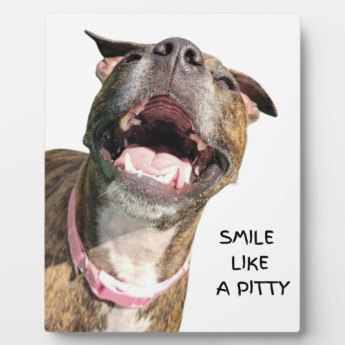 Smile Like a Pitty Plaque