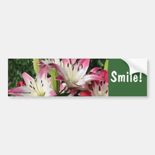 Smile Lily Flower Inspirational Bumper Sticker