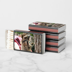 Smile matchboxes