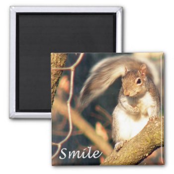 Smile Mr. Squirrel Magnet by TristanInspired at Zazzle