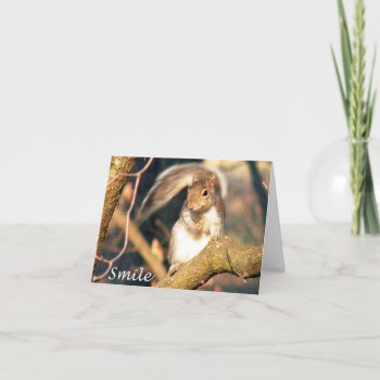 Smile Mr. Squirrel Note Card by TristanInspired at Zazzle