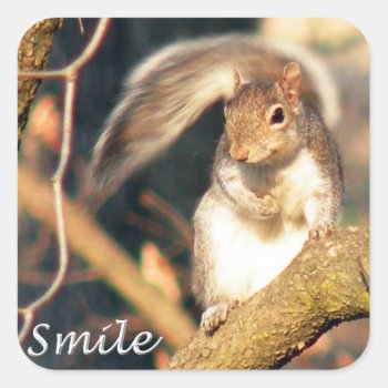 Smile Mr. Squirrel Sticker by TristanInspired at Zazzle