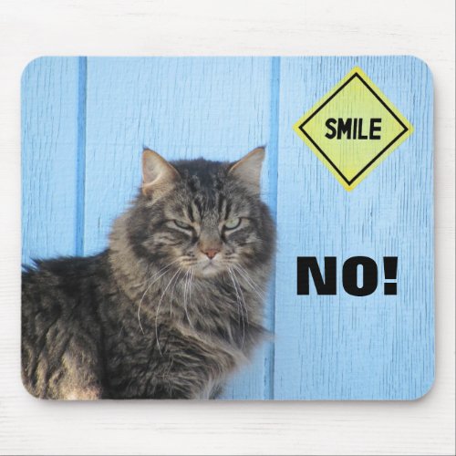 Smile No Cat Meme Mouse Pad
