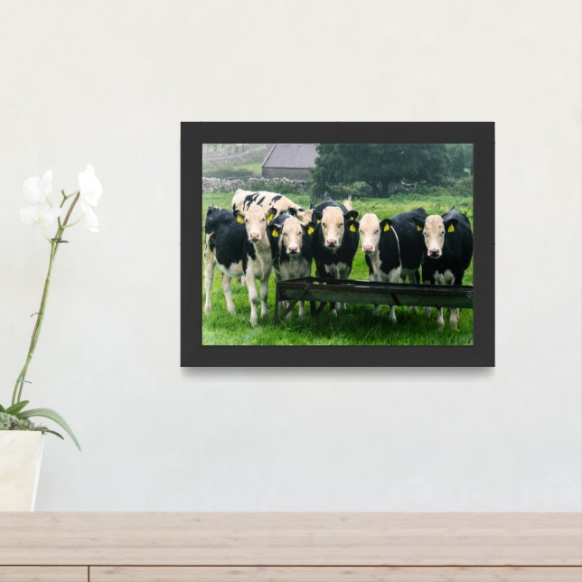 Smile please! Cute cows Framed Art (Entryway)