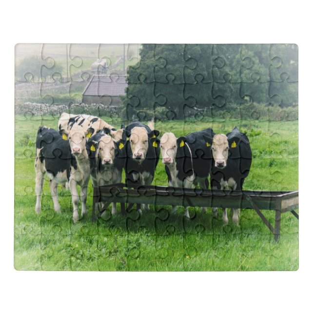 Smile please! Cute cows Jigsaw Puzzle (Puzzle Horizontal)