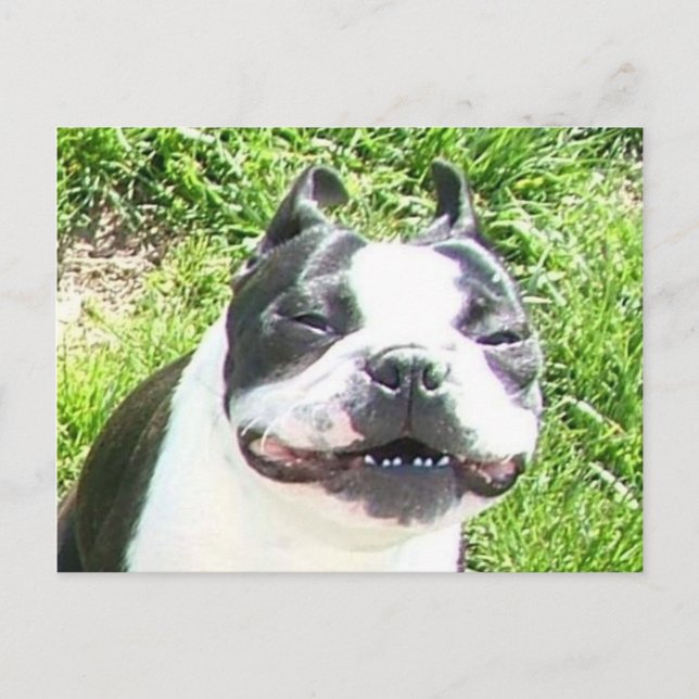 Smile Postcard (Front)