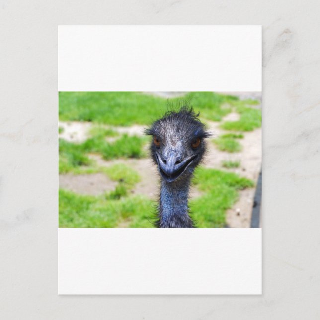 Smile Postcard (Front)