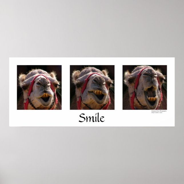 Smile Poster (Front)