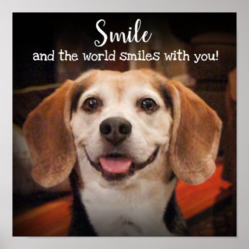 Smile Quote Cute Beagle Dog Smiling Photo Poster