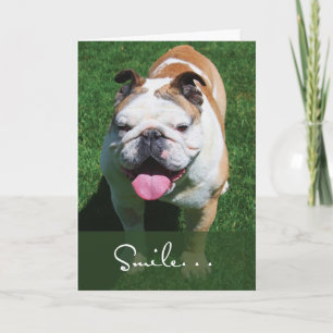 Smile, Thinking of You, Bulldog Card