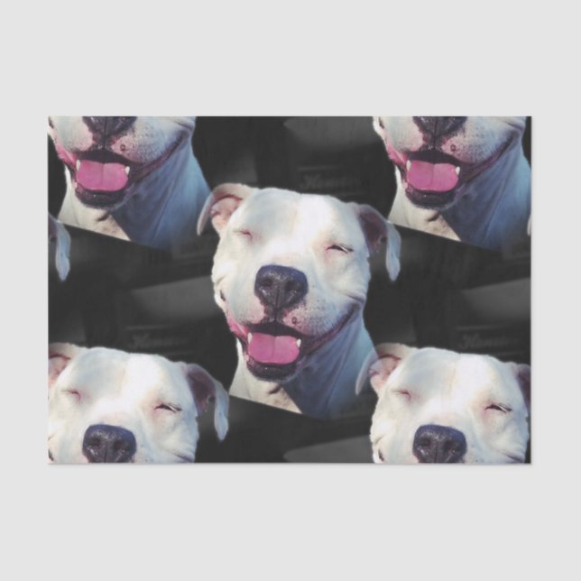 Smile Tissue Paper (Front)