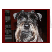 SMILE with Me! (Front Horizontal)