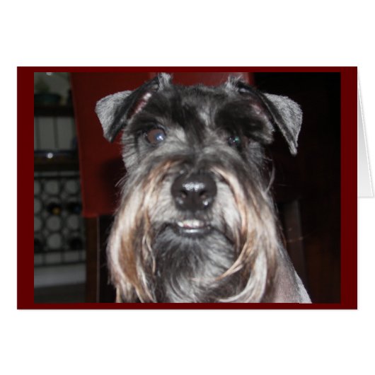 SMILE with Me! (Front Horizontal)