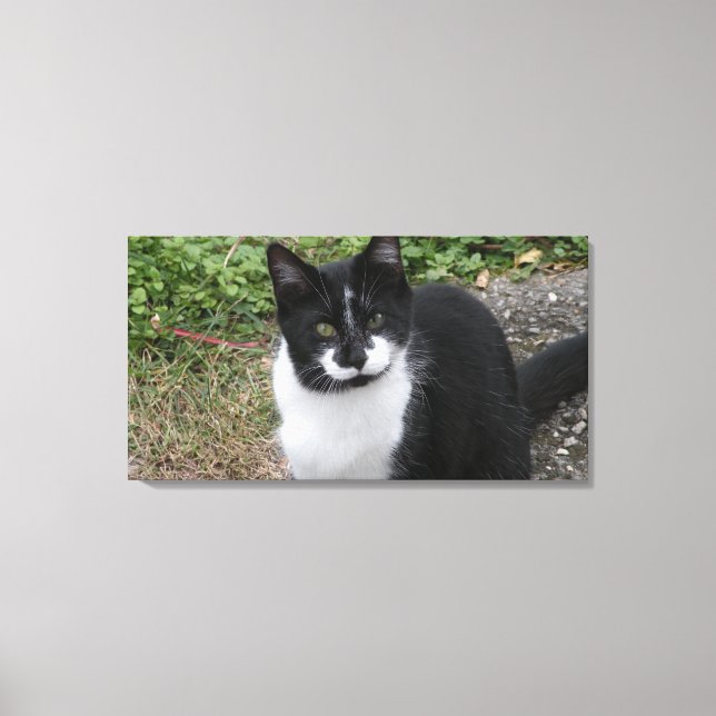 Smiler Charity Canvas Print (Front)