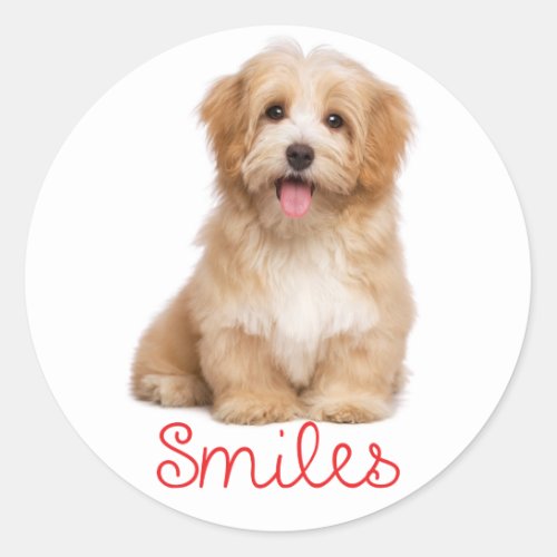 Smiles Havanese Tan Puppy Dog Hello Classic Round Sticker