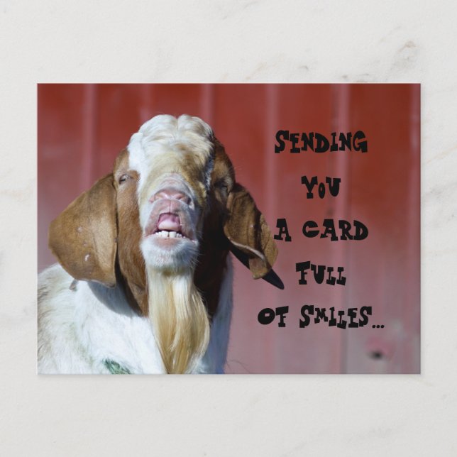 Smiles... Postcard (Front)