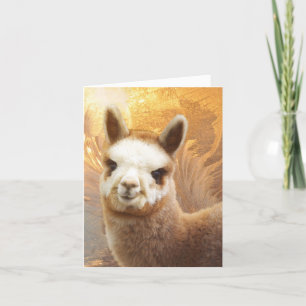 Smiling Alpaca Christmas Cards