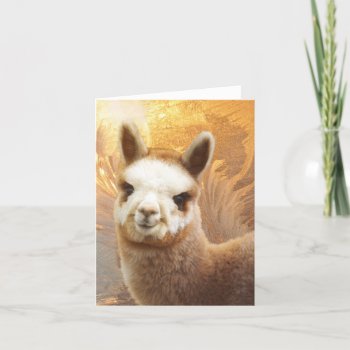 Smiling Alpaca Note Card by WalnutCreekAlpacas at Zazzle