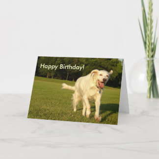 Smiling Angel, Happy Birthday! Card