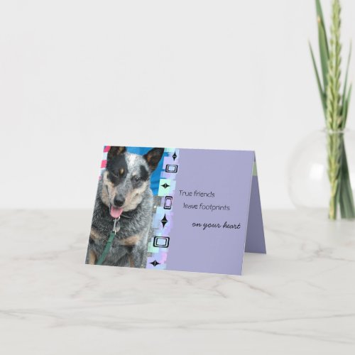 Smiling Australian Cattle Dog Birthday Greeting Card