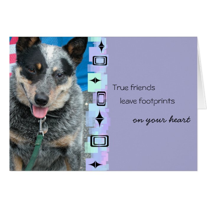 Smiling Australian Cattle Dog Birthday Greeting Card