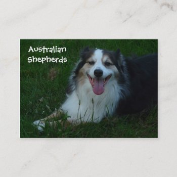Smiling Australian Shepherd  Business Card by RedneckHillbillies at Zazzle
