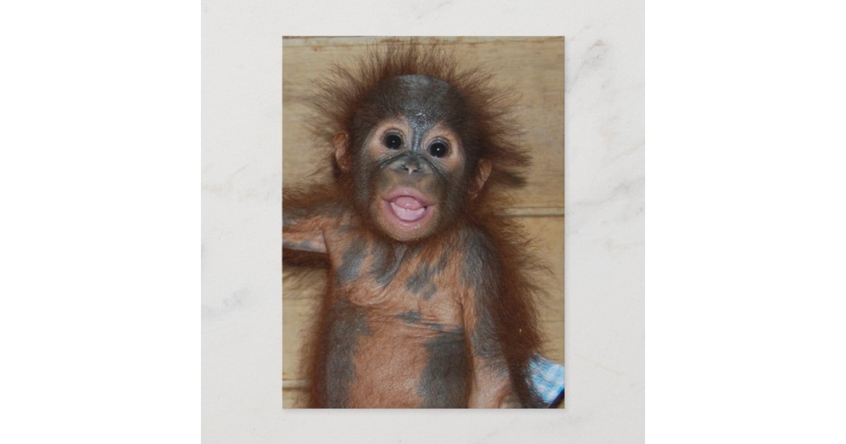 male orangutan smiling