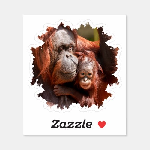 Smiling Baby Orangutan in Mothers Arms Sticker