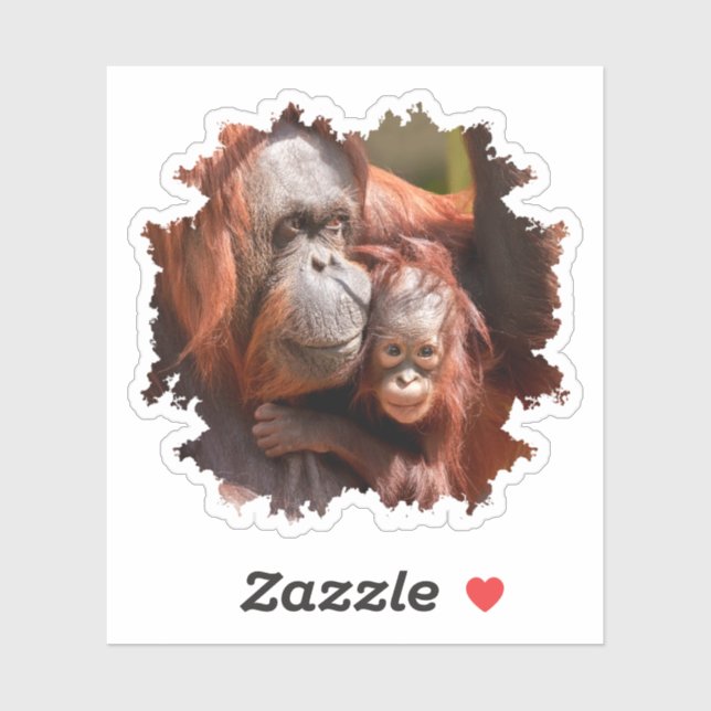Smiling Baby Orangutan in Mother's Arms Sticker (Sheet)