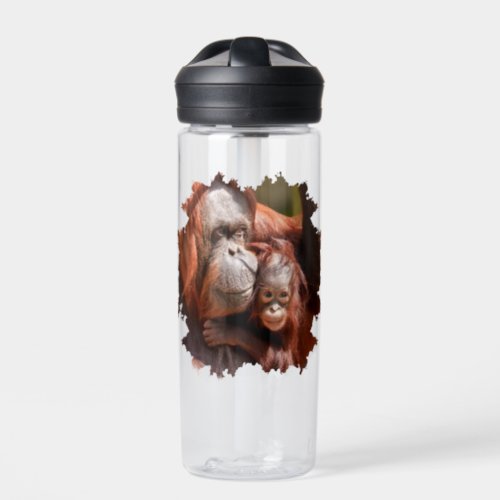 Smiling Baby Orangutan in Mothers Arms Water Bottle