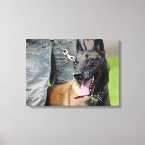 Smiling Belgian Malinois Canvas Print