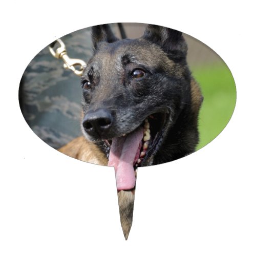 Smiling Belgian Malinois Dog Cake Topper